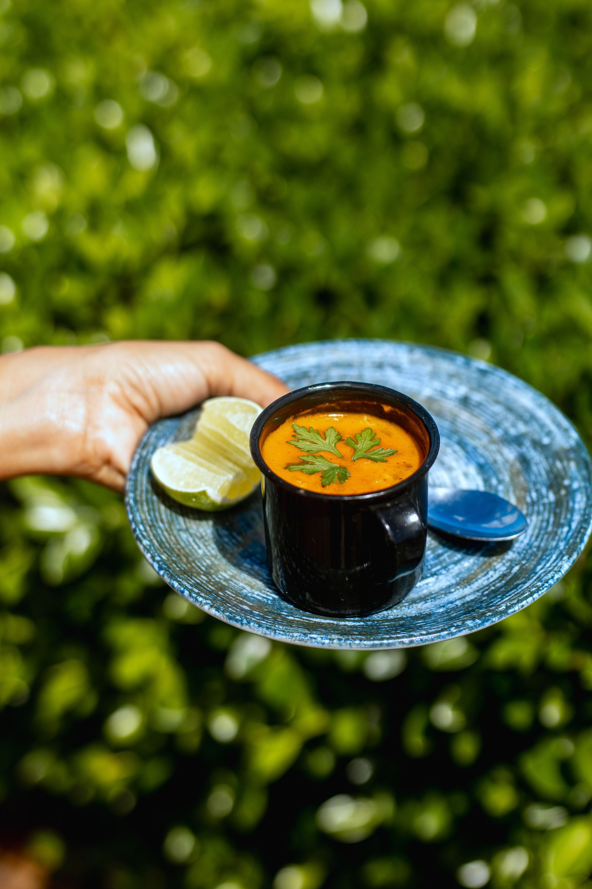 Mão segurando um prato com uma caneca de sopa, fatias de limão e uma colher azul; fundo de folhagem verde.