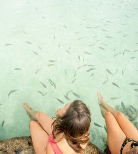 Duas pessoas com os pés em água limpa cheia de peixes.