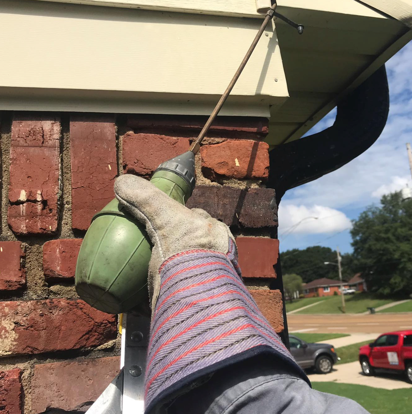 pest control in memphis