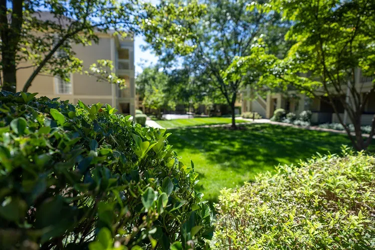 A lush green yard with trees and bushes in front of a building.