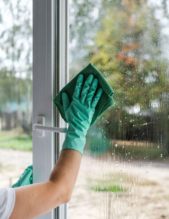 Window Cleaning Port Charlotte FL