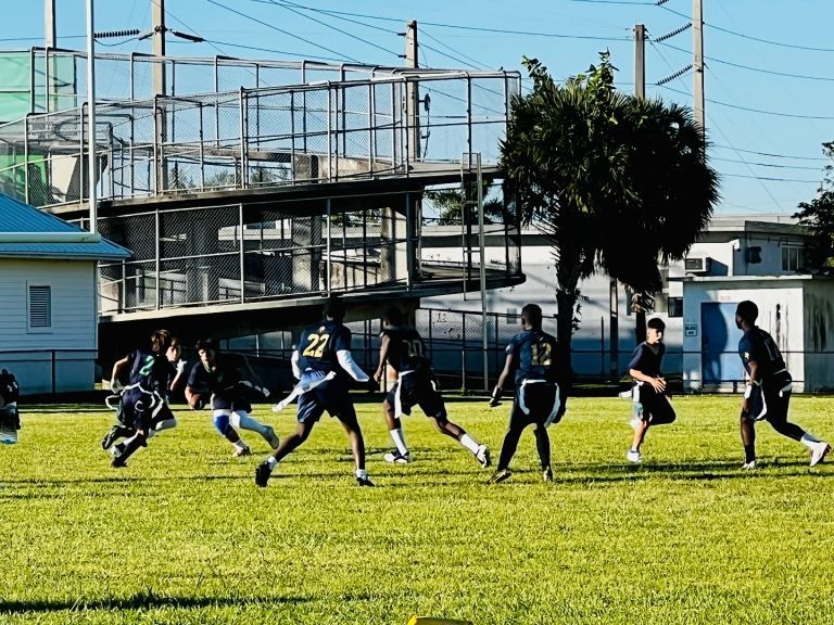 A group of people are playing a game of soccer on a field.