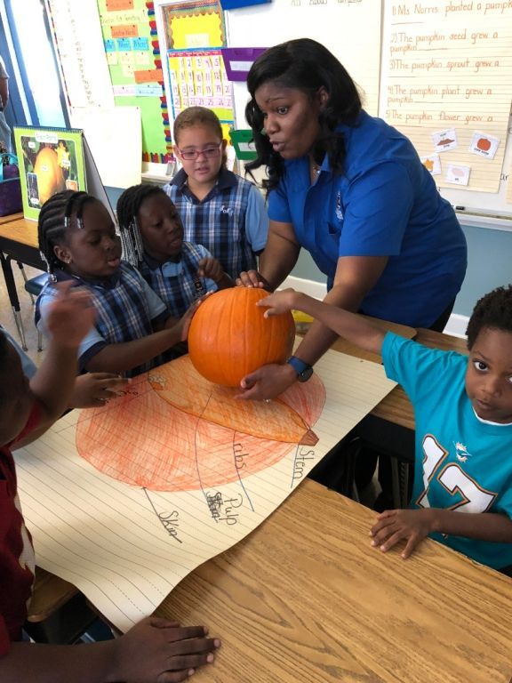 A teacher is teaching a group of children how to carve a pumpkin