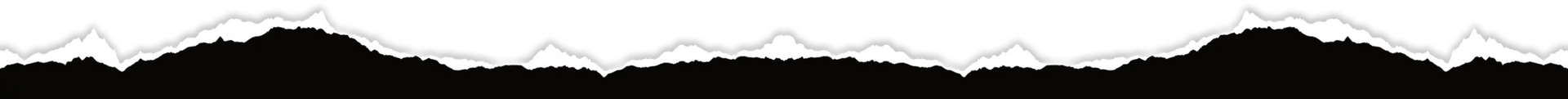 Abstract pattern with repeating dark, irregular shapes against a white background.