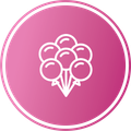 Balloon decor icon