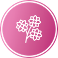 Floral designs icon