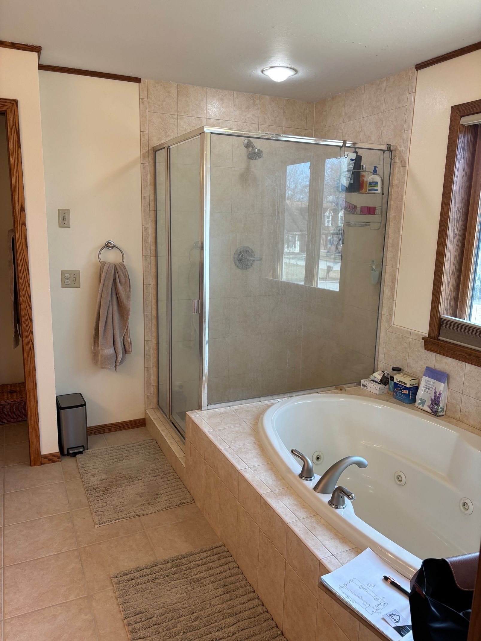 Bathroom Before Remodeling — Appleton, WI — Align Remodeling & Construction LLC