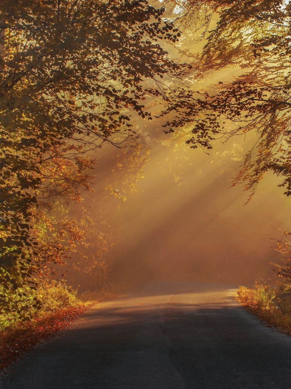 Upgrade Your Consciousness with Enlightened Life Temple in Denver, CO