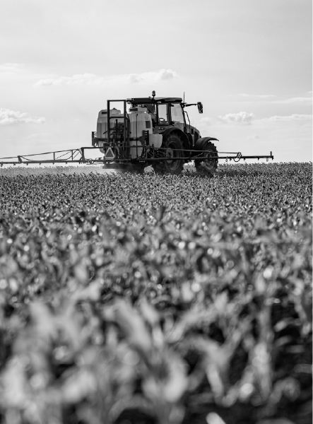 Black and white photo: Tractor spraying a field of crops.