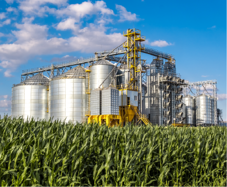 Grain silos and processing plant rising behind a field of green crops, blue sky.