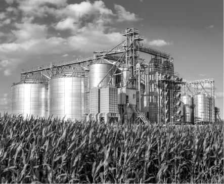 Grain silos, machinery, and storage towers in a field of crops under a cloudy sky.
