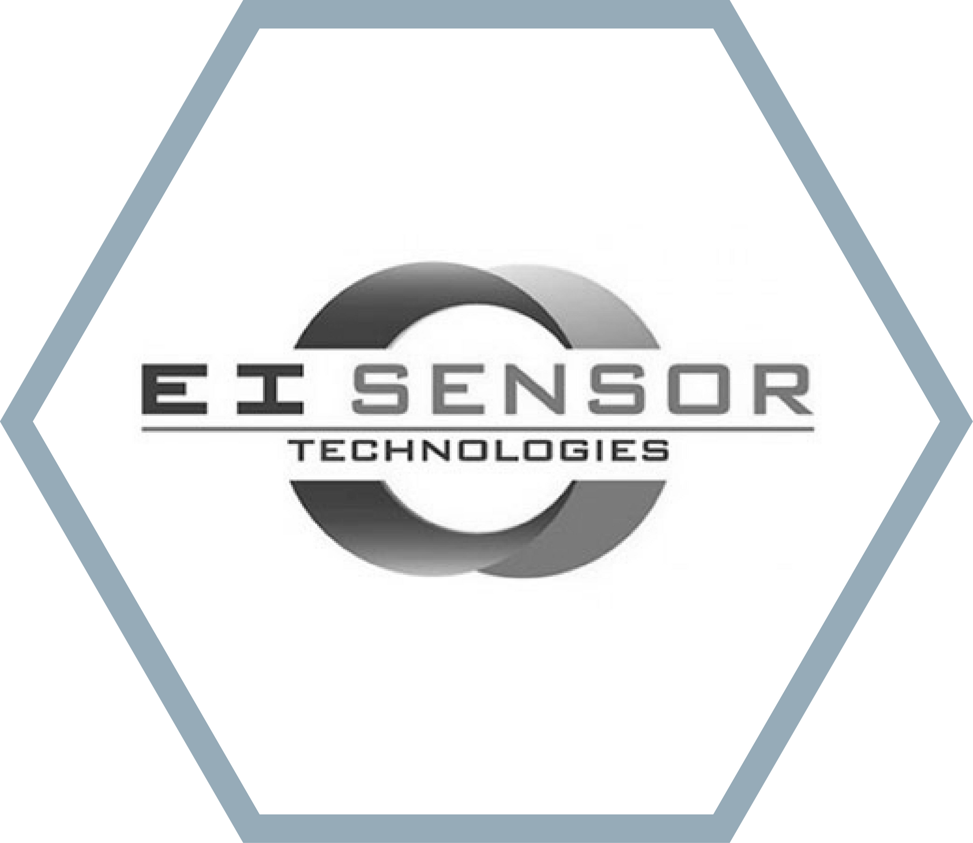 EI Sensor Technologies logo in a hexagon frame: text over a swirling, shaded circle.