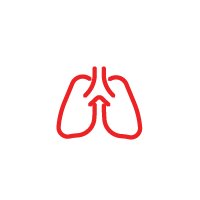 Red outline of lungs with an upward arrow, symbolizing respiration.