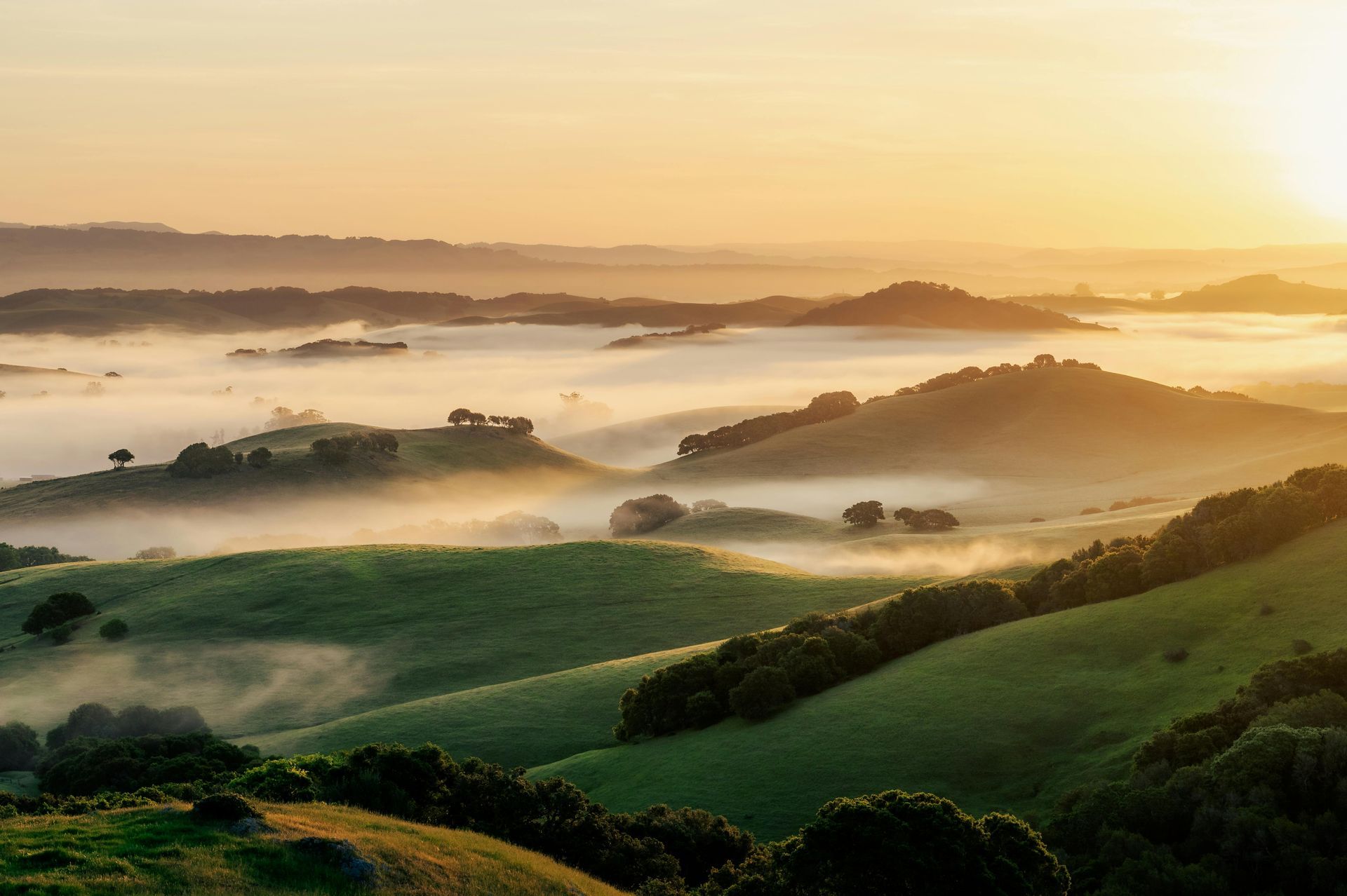 A sunset over a foggy valley with trees and hills