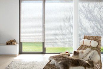 modernes Wohnzimmer mit Plissées