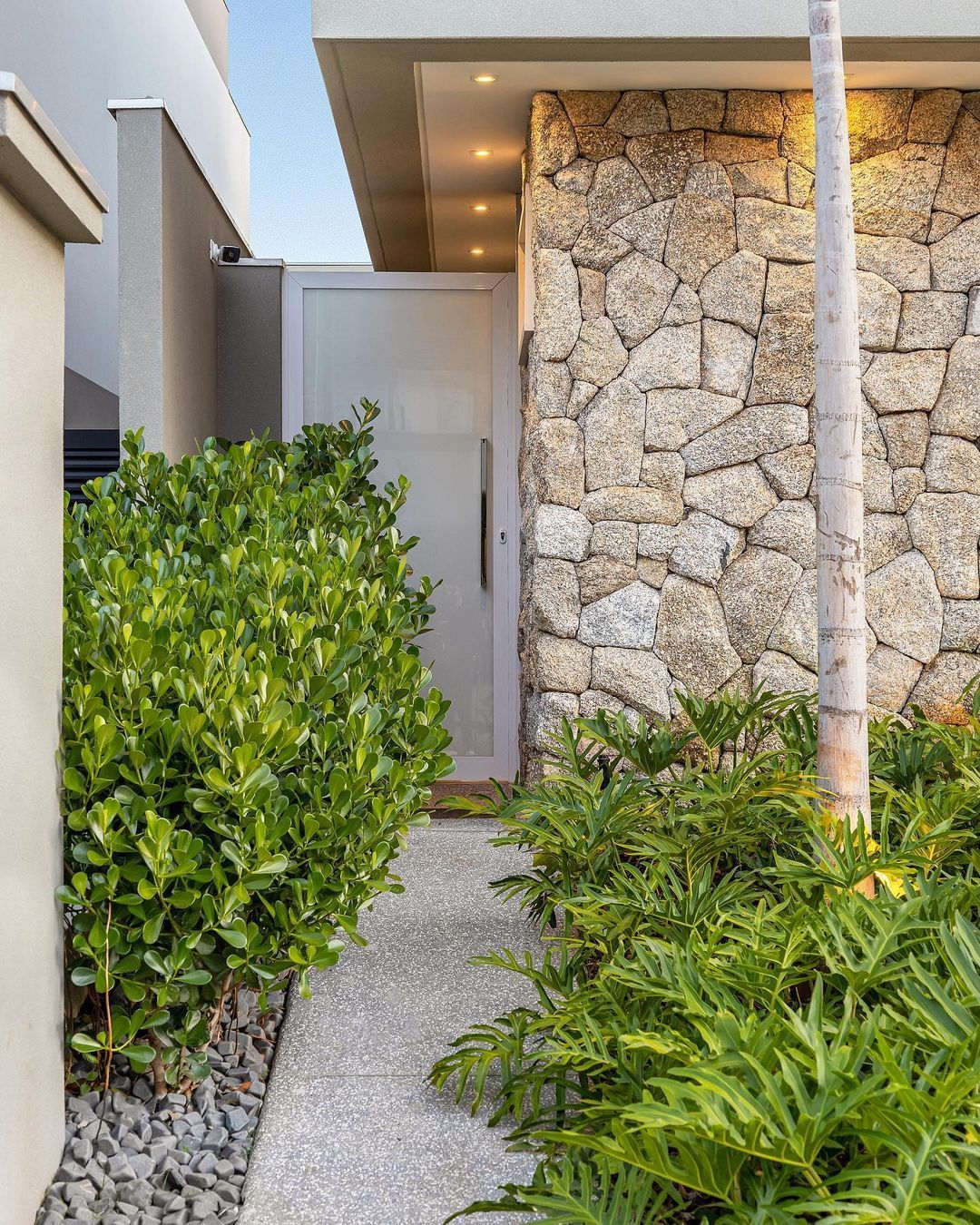 Pedra Moledo.arbustos.