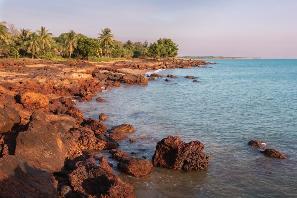 A Rocky Shoreline With Palm Trees And A Water — Primera Driving School Darwin In Darwin, NT