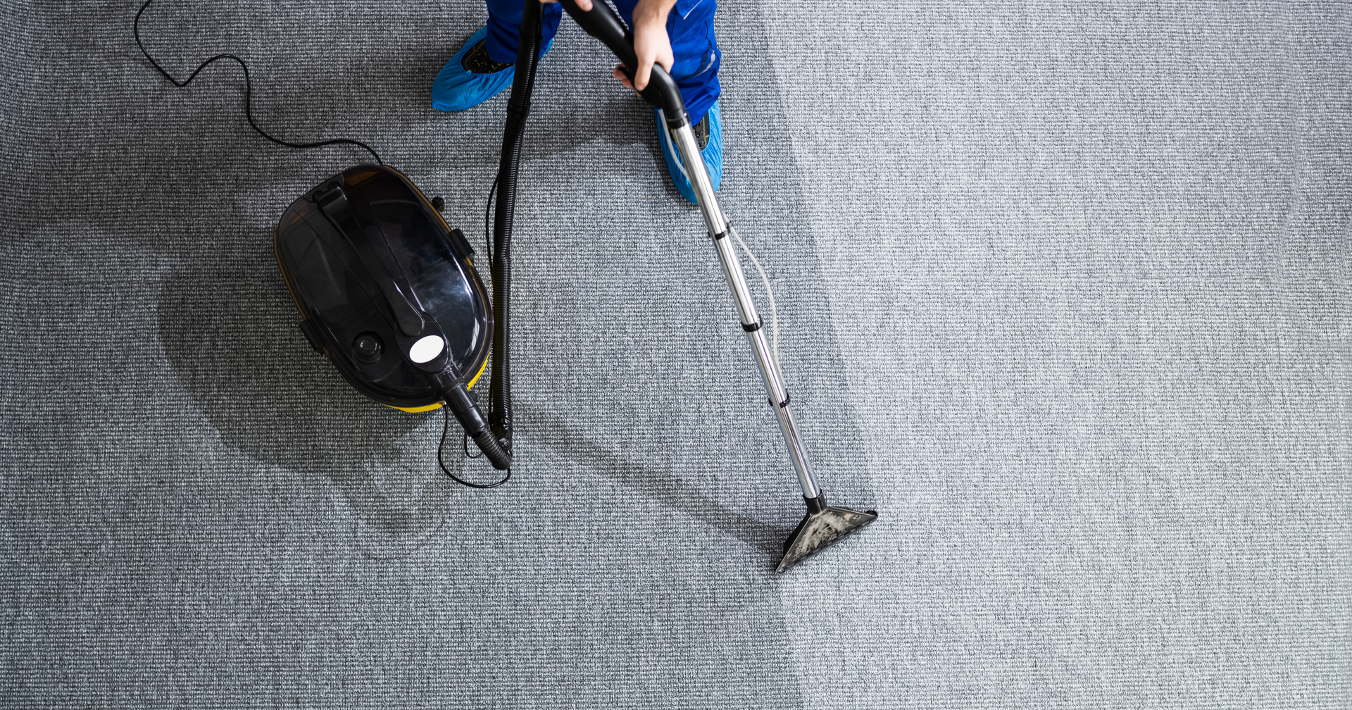 Enhancing Business Success, One Clean Carpet at a Time