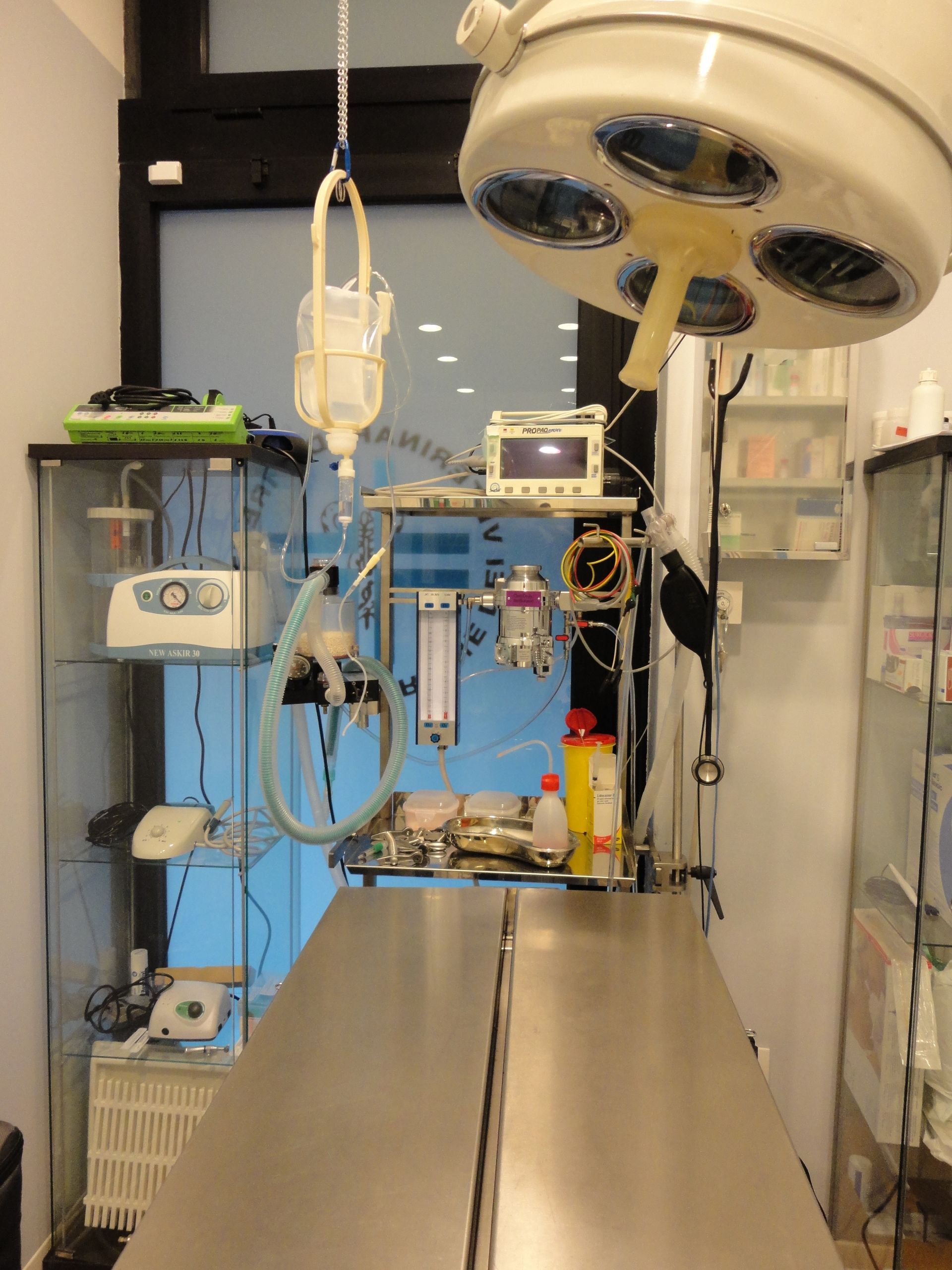 Veterinario Prato Dott. Falci Simone chirurgia