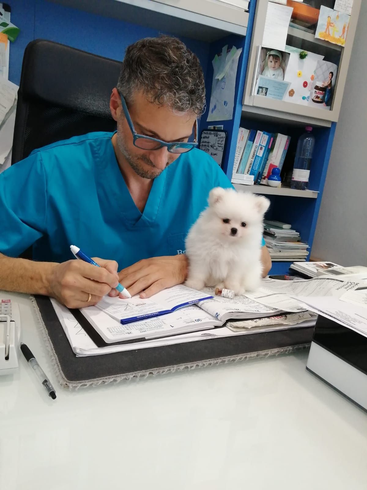 Ambulatorio Veterinario Borgonuovo Prato 