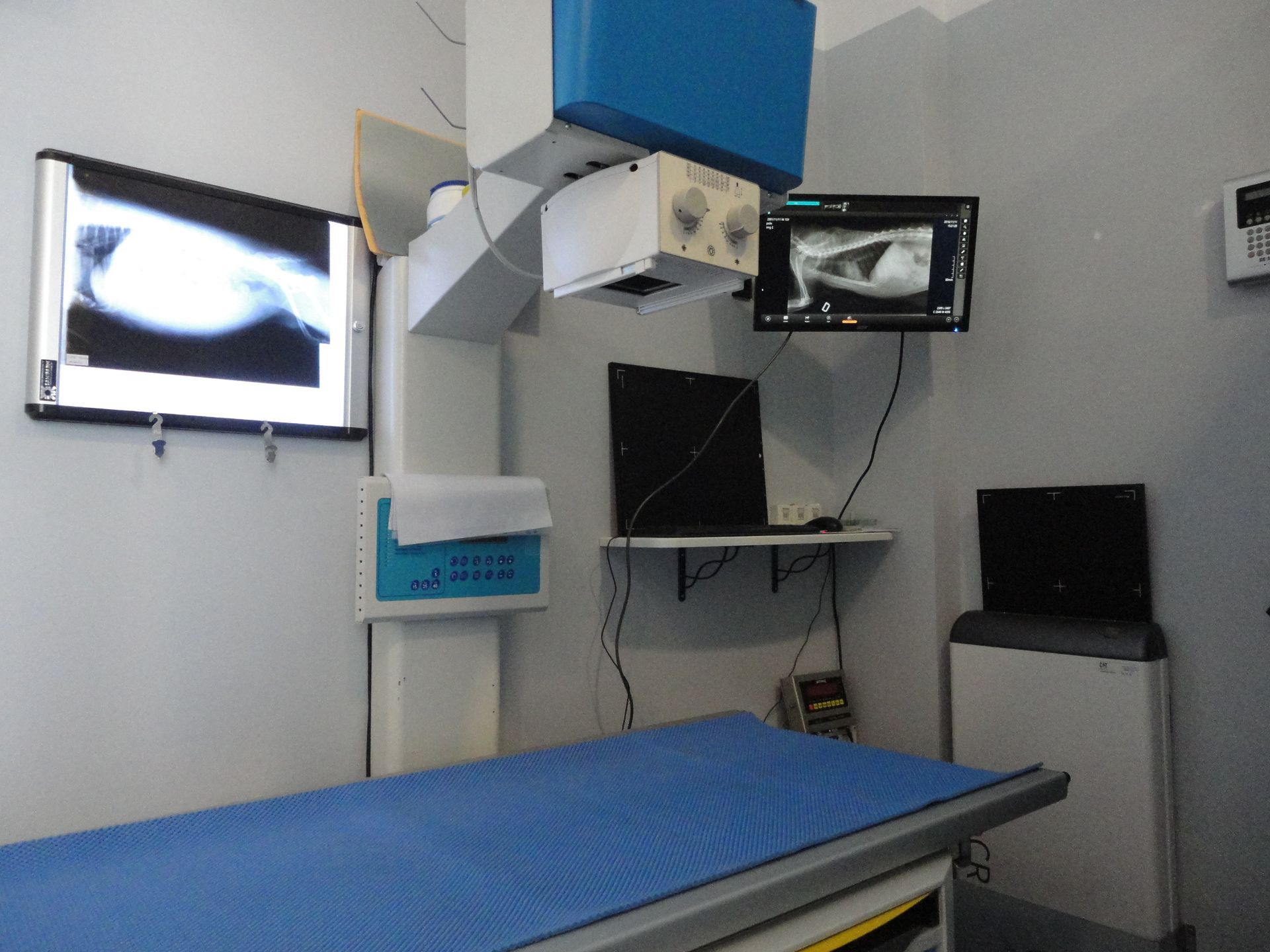 Chirurgia d'urgenza Veterinario Prato Dott. Falci Simone