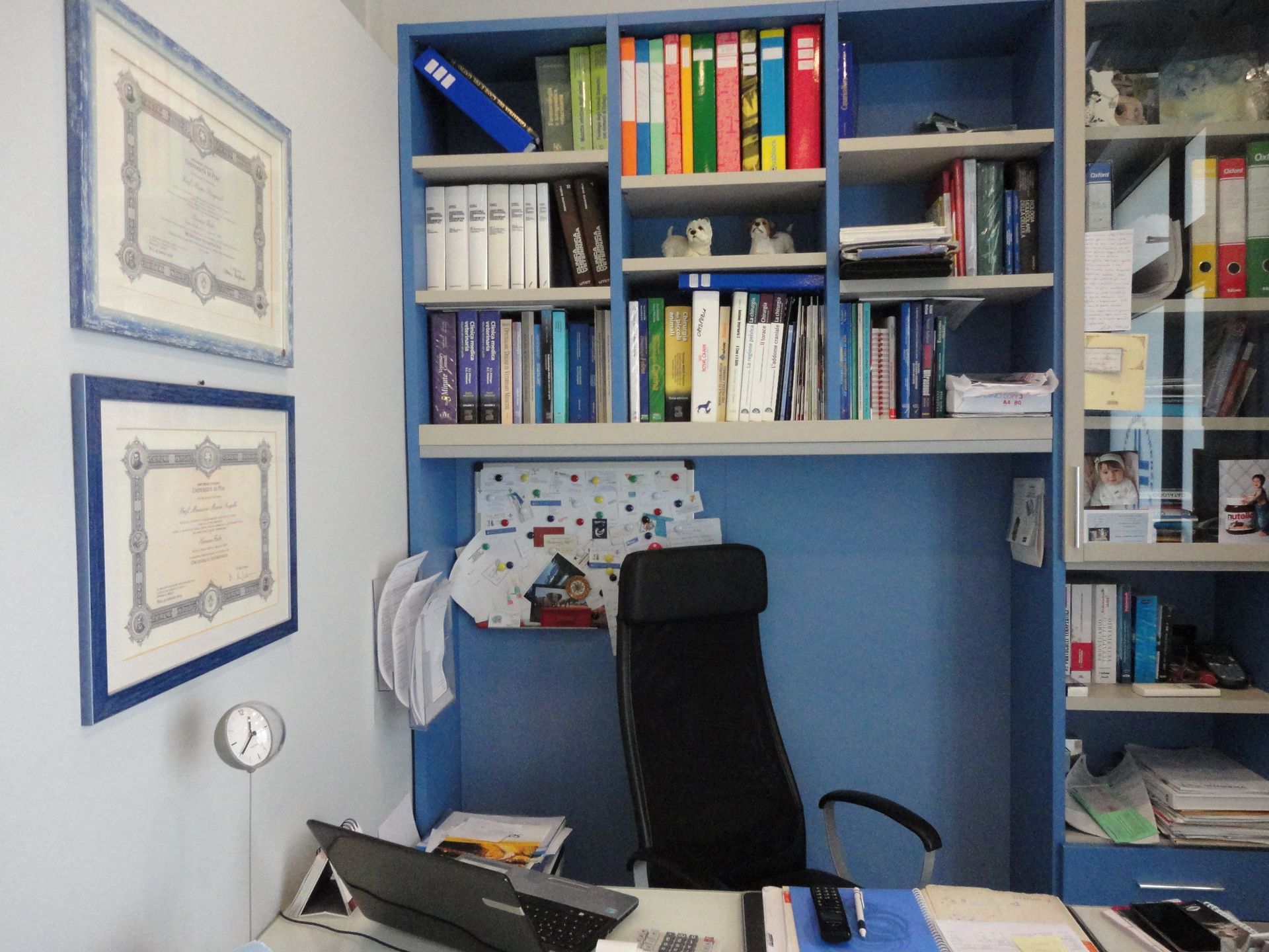 Veterinario Prato Dott. Falci Simone