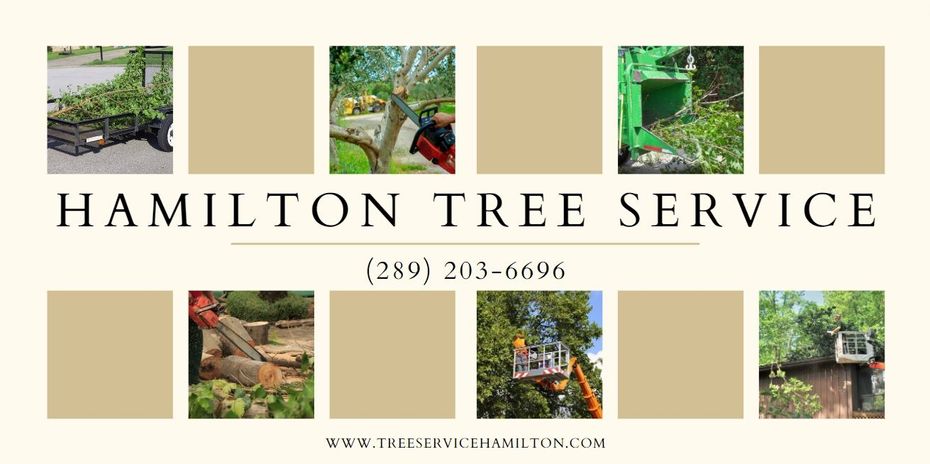 Hamilton Tree Service banner with phone number