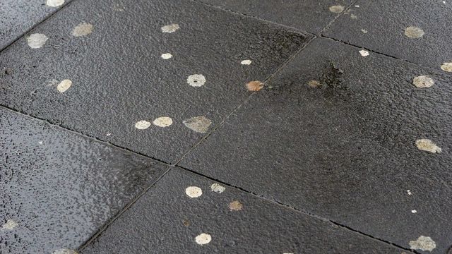 Gum removal service in Brighton