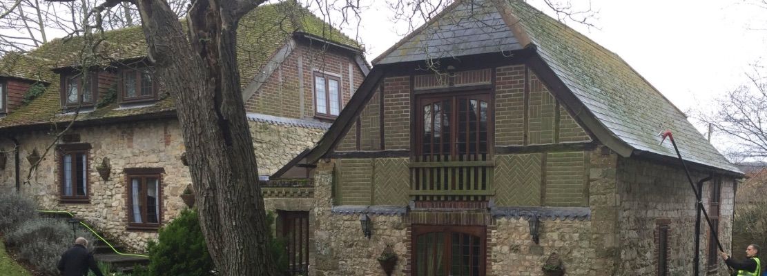 Stone buildings with wood and green mossy roofs, a tree in the foreground.