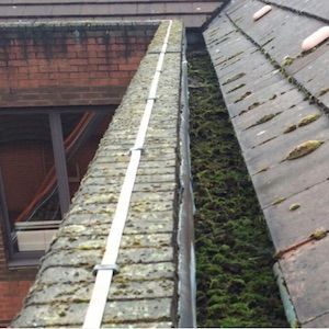 Gutter filled with moss and debris on a tiled roof, next to a brick building.