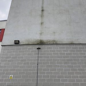 Gray building exterior with a brick wall and a lighter-colored section above, showing water stains.