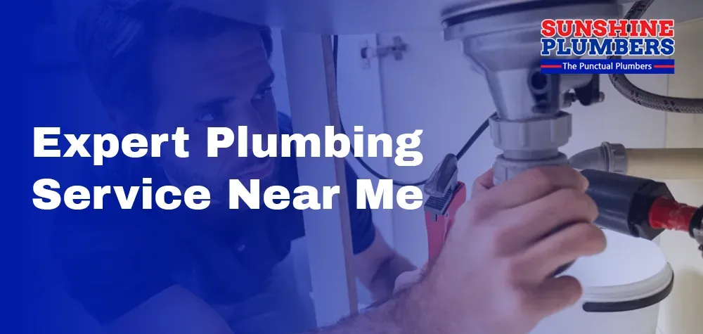 Expert Plumbing Service Near Me