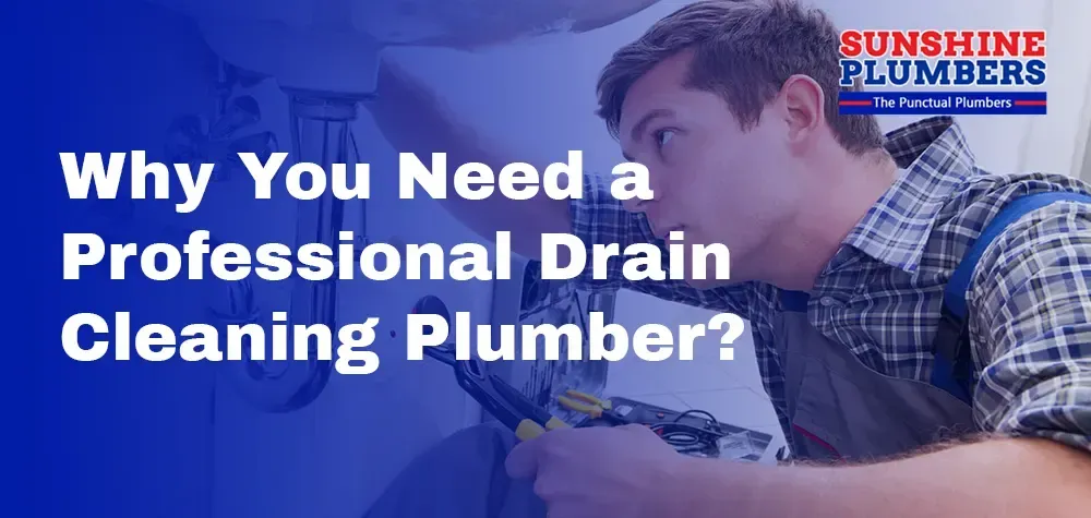 Why You Need a Professional Drain Cleaning Plumber?