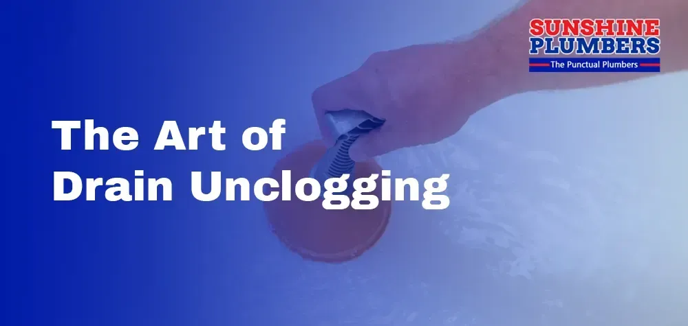 The Art of Drain Unclogging: Plumbing Secrets Revealed