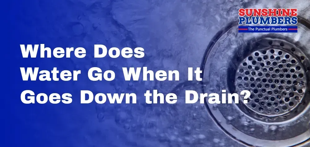 Where Does Water Go When It Goes Down the Drain?