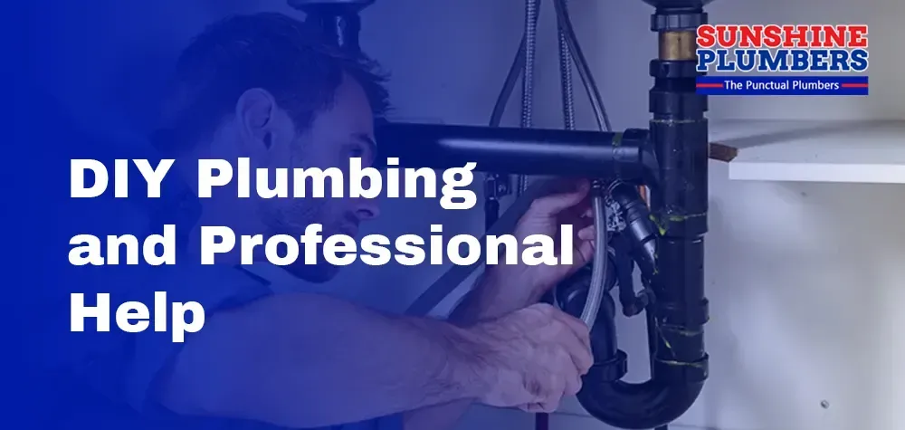 Deciding Between DIY Plumbing and Professional Help