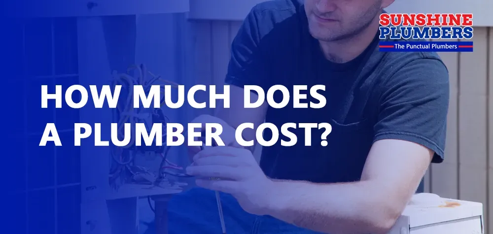 How Much Does a Plumber Cost?