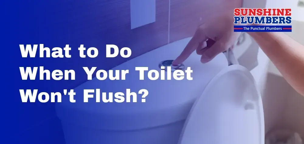 What to Do When Your Toilet Won't Flush?