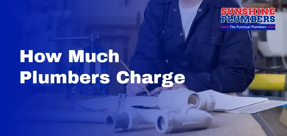 Plumbing Costs Unveiled: A Comprehensive Guide to Understanding How Much Plumbers Charge