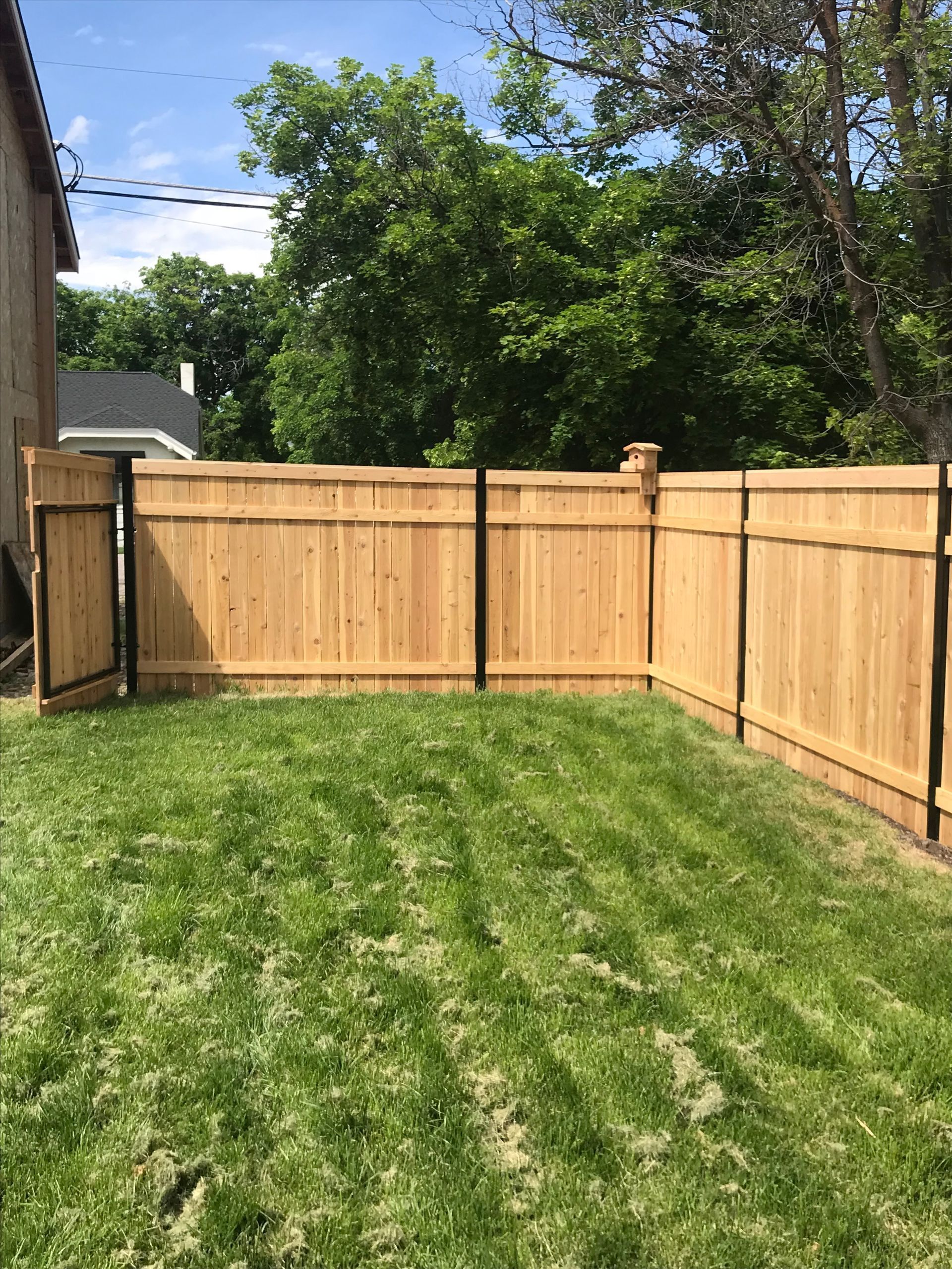 Wooden fence with a gate encloses a green lawn, trees in the background, bright sky.