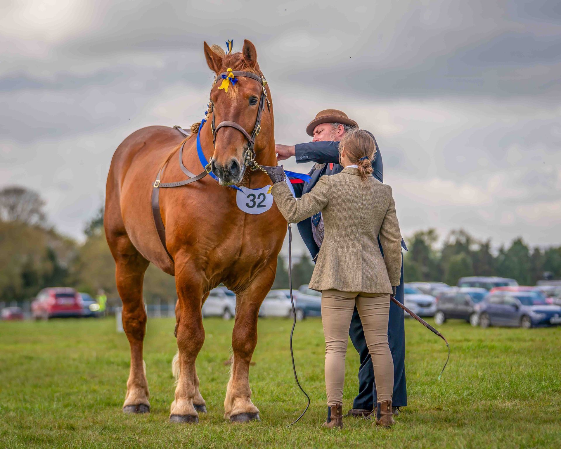 Supreme Champion 2023, Colony Eli, who was born and raised at the Suffolk Punch Trust charity.