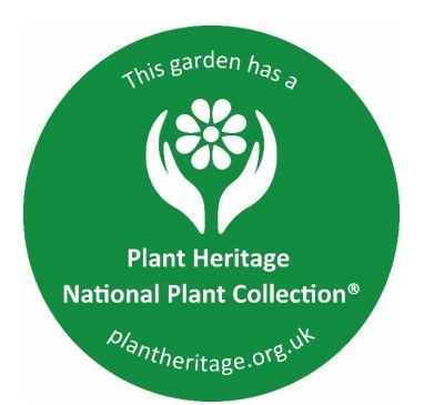 The Suffolk Punch Trust's Heritage Garden has an award from the National Plant Collection