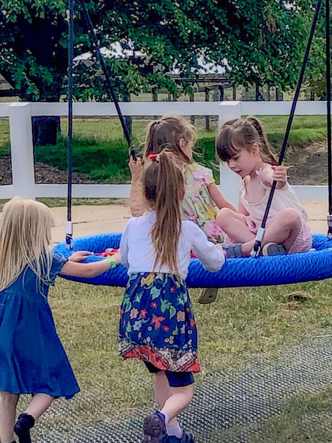 Fun swing at the Suffolk Punch Trust