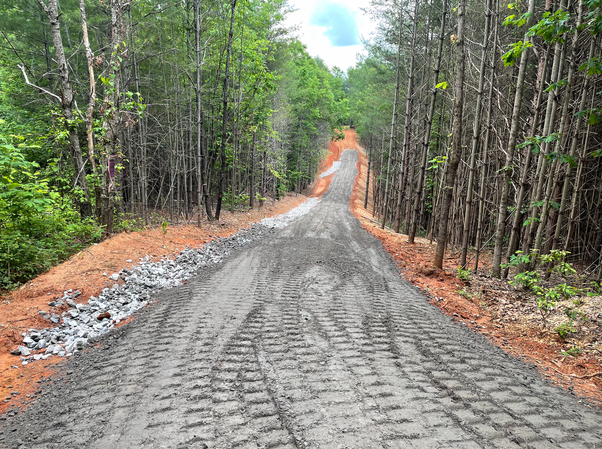 A dirt road going through a forest with trees on both sides.