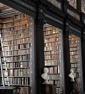 Library shelves filled with old books, dark wood columns, busts, and a tall ladder.
