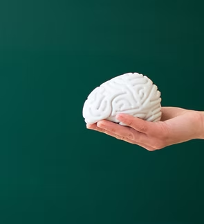 Hand holding a white brain model against a dark green background.