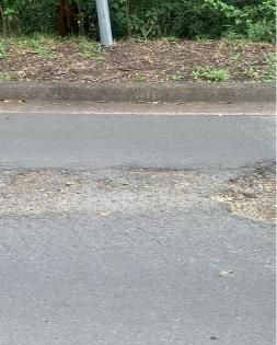 Close Up of a Road With a Tree — JP Civilworx Pty Ltd in Newcastle, NSW