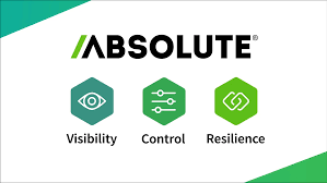 Logotipo absoluto con tres íconos: ojo para visibilidad, configuraciones para control y eslabones de cadena entrelazados para resiliencia.