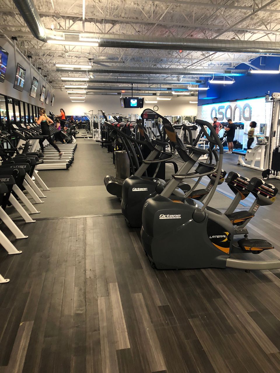 Inside a gym, rows of treadmills and elliptical machines. People are exercising.