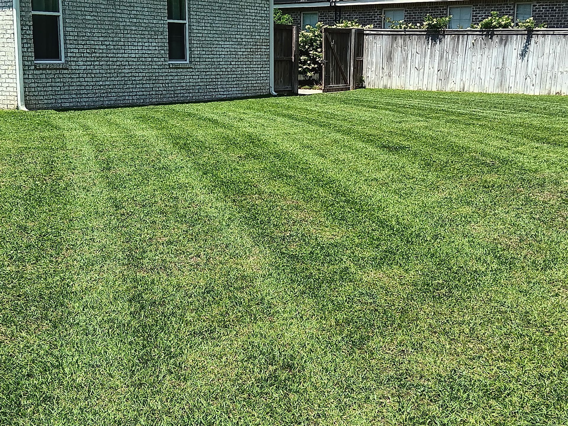 A lush green lawn in front of a brick house.